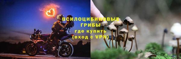 ПСИЛОЦИБИНОВЫЕ ГРИБЫ Балабаново