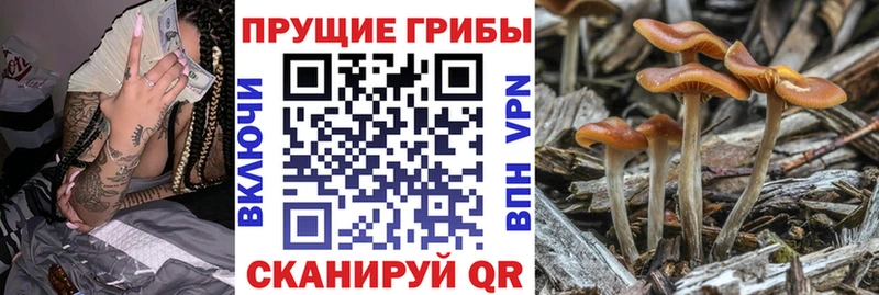 мега зеркало  Ессентуки  Галлюциногенные грибы MAGIC MUSHROOMS  наркота 