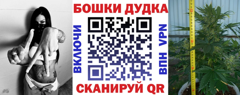 Бошки марихуана тримм  darknet телеграм  Ессентуки  kraken маркетплейс 
